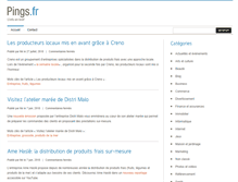 Tablet Screenshot of pings.fr